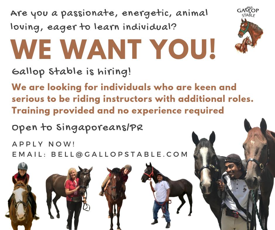 Animal Jobs Near Me No Experience PetsWall